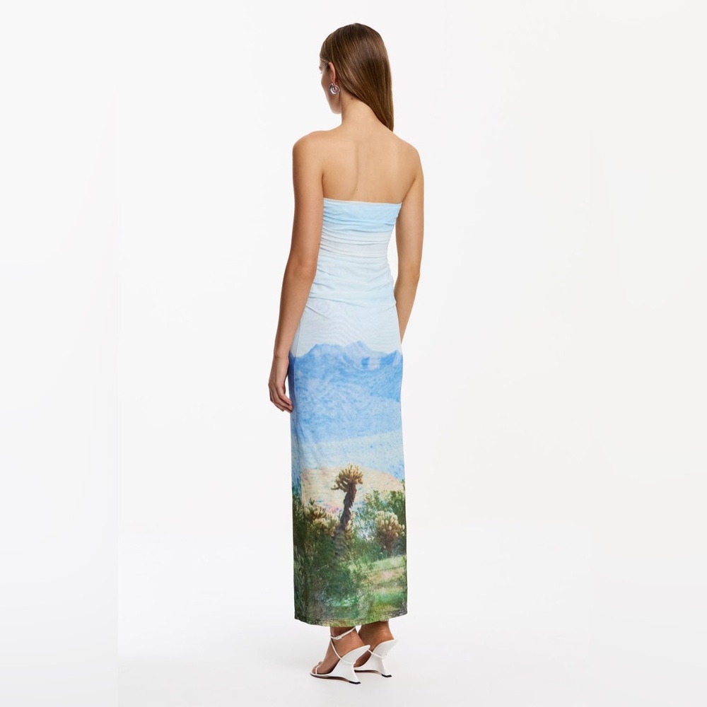Significant Other Saria Boat-Neck Midi Dress in Joshua Tree size 4 NWOT - Picture 4 of 8